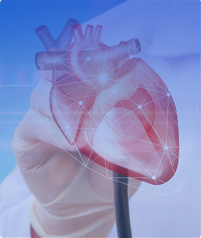 HOLTER CARDIACO